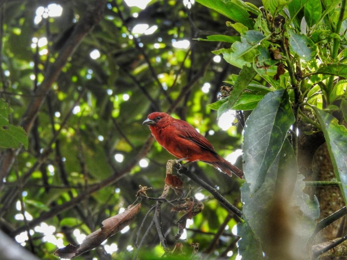 Ecofinca Salento Kültér fotó