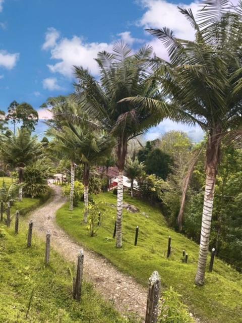 Ecofinca Salento Kültér fotó