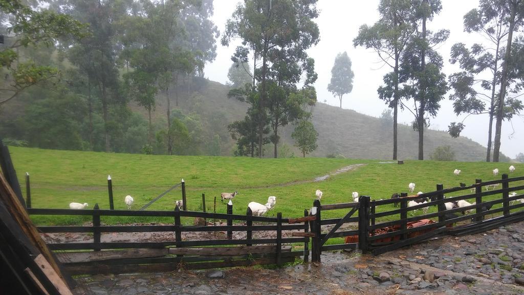 Ecofinca Salento Kültér fotó